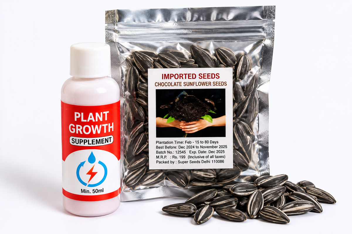 Chocolate Sunflower Seeds