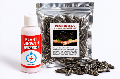Chocolate Sunflower Seeds