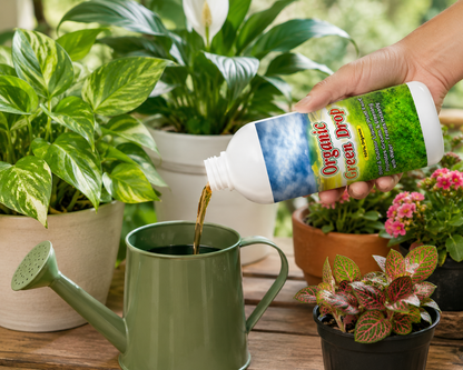 Organic GreenDrop Plant Food Liquid Fertilizer For Plant Growth & Greening Pack of 1