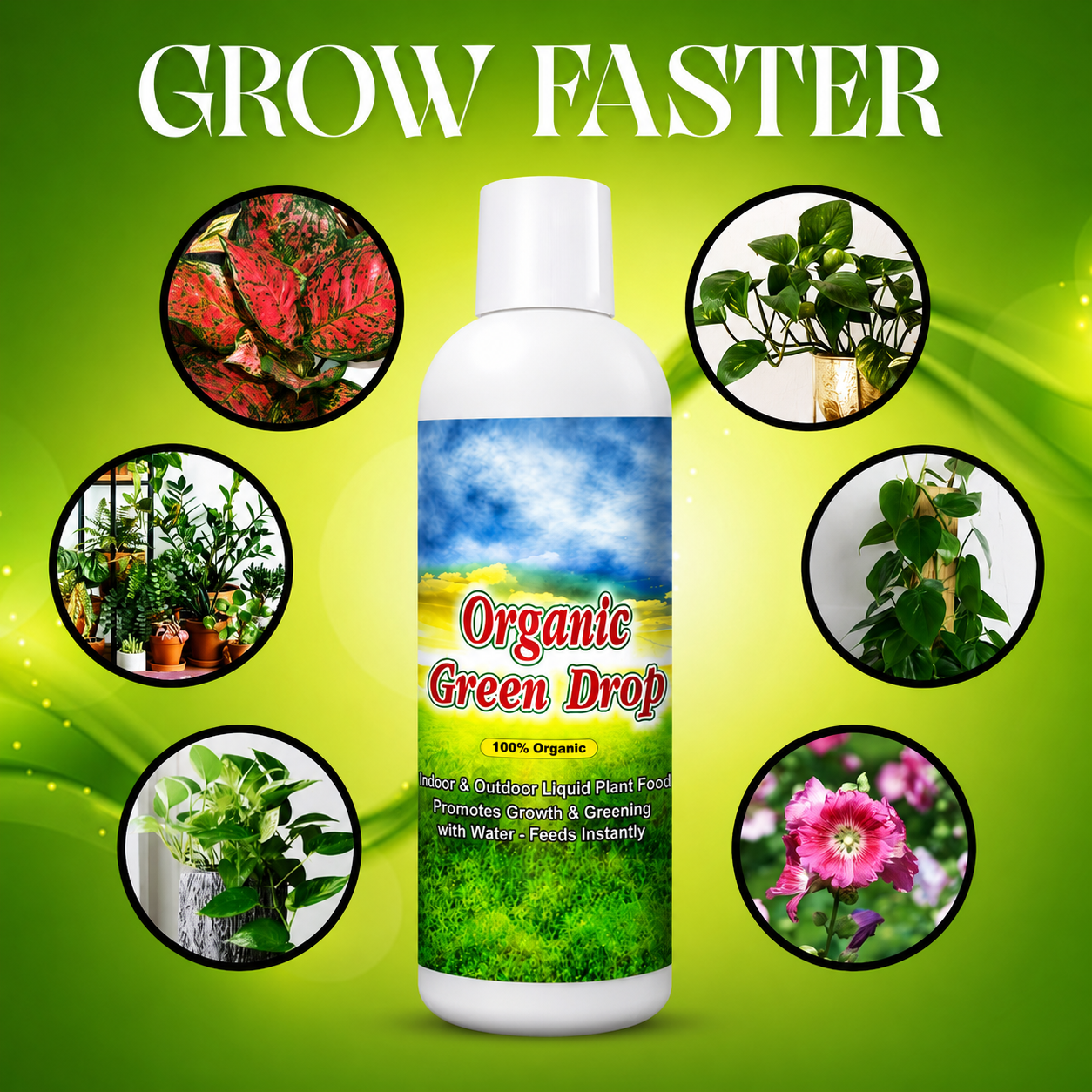 Organic GreenDrop Plant Food Liquid Fertilizer For Plant Growth & Greening Pack of 1