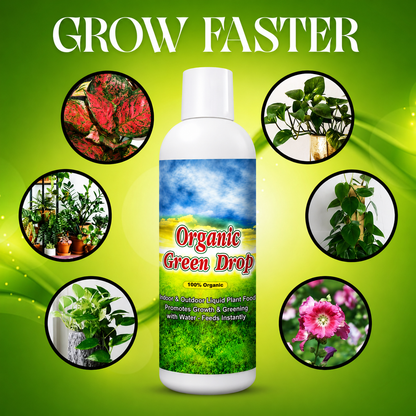 Organic GreenDrop Plant Food Liquid Fertilizer For Plant Growth & Greening Pack of 1